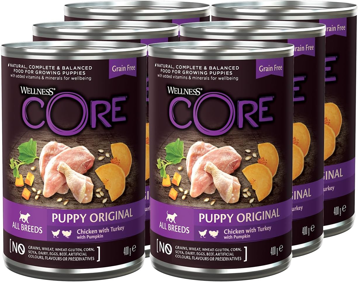 Wellness CORE Hundefutter Nass 6x400g Huhn & Truthahn Pastete