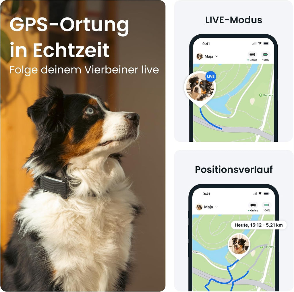 Tractive GPS Tracker 2025 Edition fuer Hunde Schwarz mit Live-Ortung