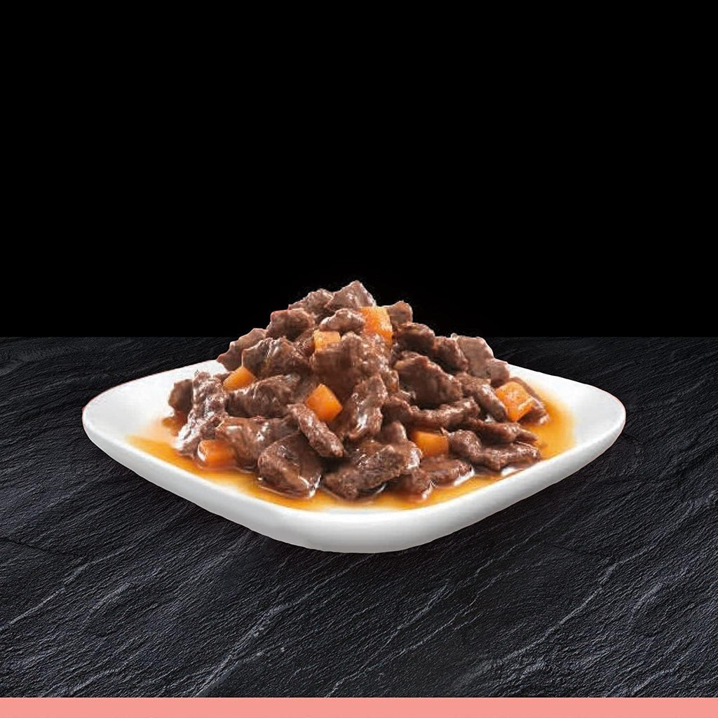 Cesar Hunde Nassfutter 40 x 100 g Selektion in Sauce - verschiedene Sorten