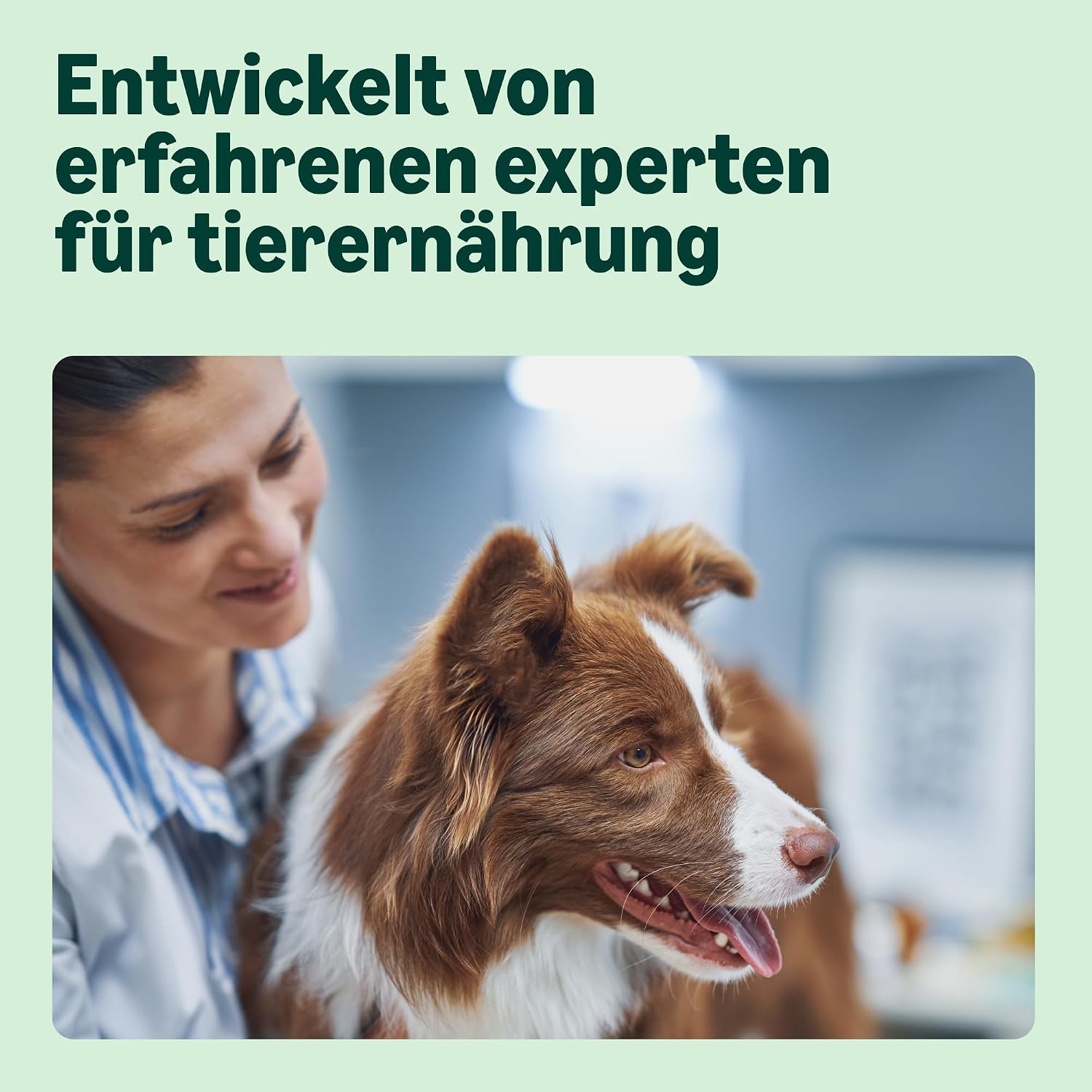 Trockenfutter fuer Hunde 5 Sorten mit Huhn und Lachs verschiedene Geschmacksrichtungen