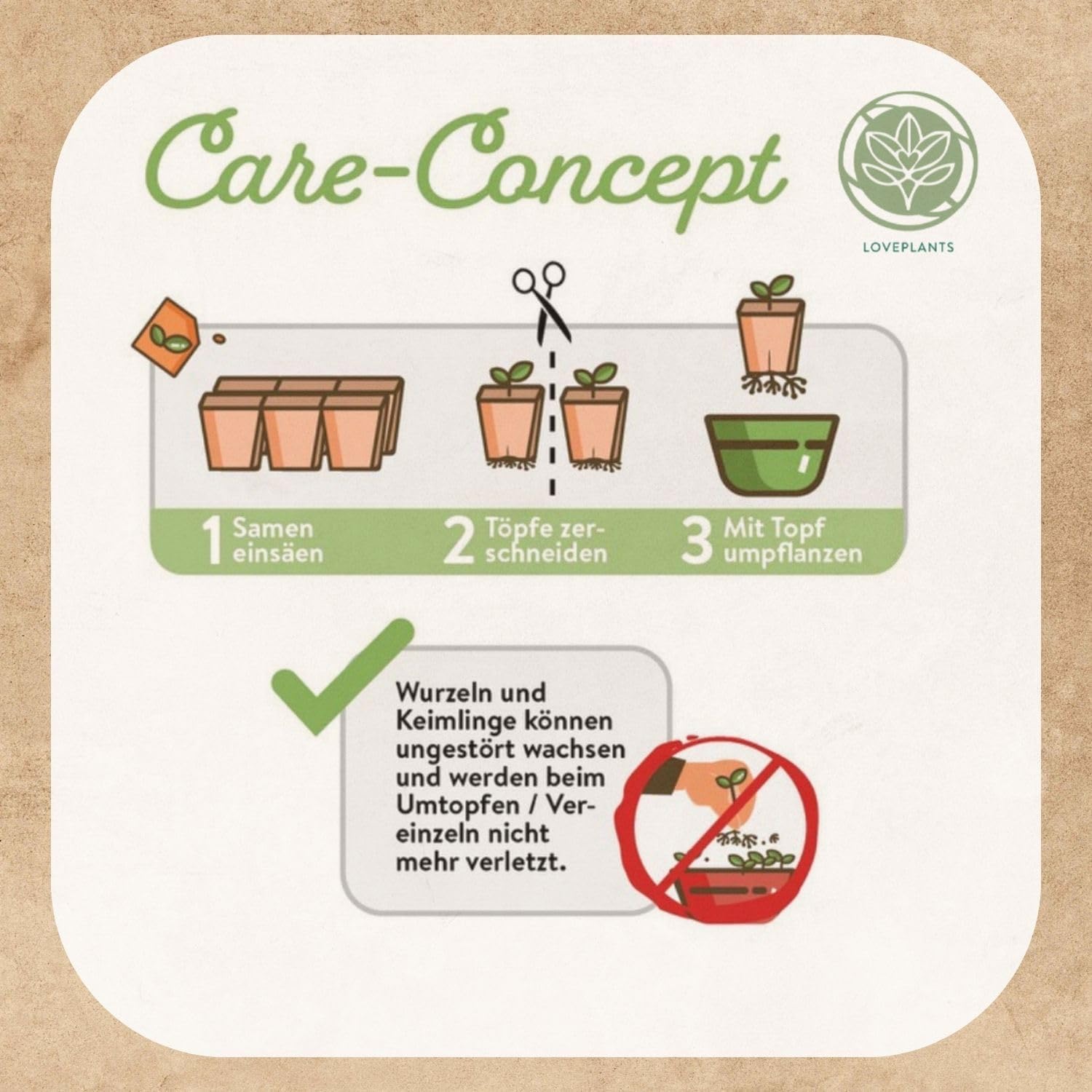 Bonsai Starter Kit mit 4 Samen Anzuchtset plastikfrei nachhaltig Geschenk