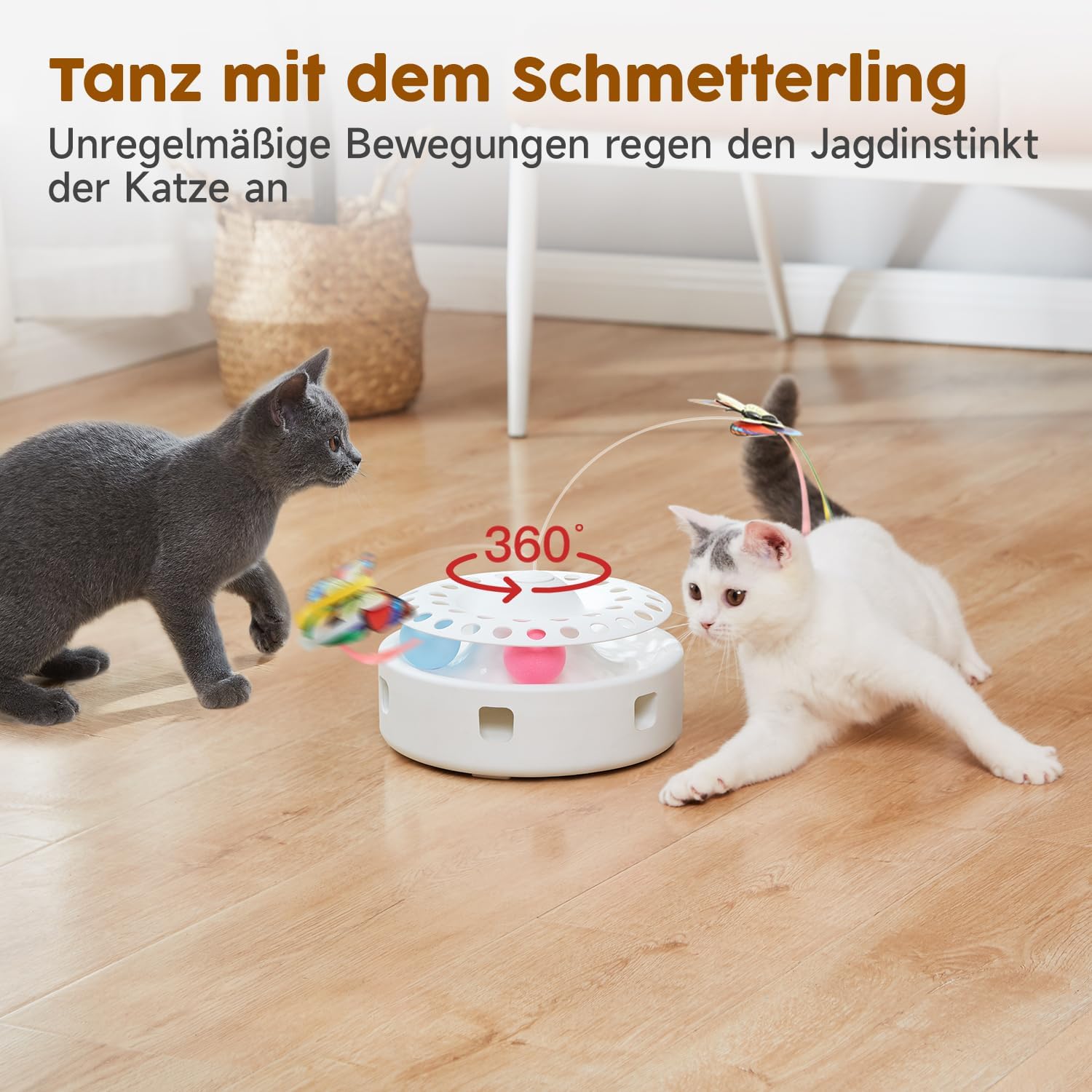 Katzen 3in1 Spielzeug Elektrisch Feder Schmetterling Ballbahn USB