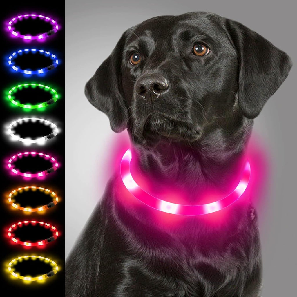 Joytale LED Leuchthalsband USB aufladbar Rosa - 3 Modi fuer kleine bis grosse Hund