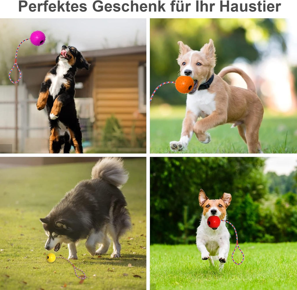 4x Hundeball mit Seil aus Naturkautschuk – robustes Hundespielzeug