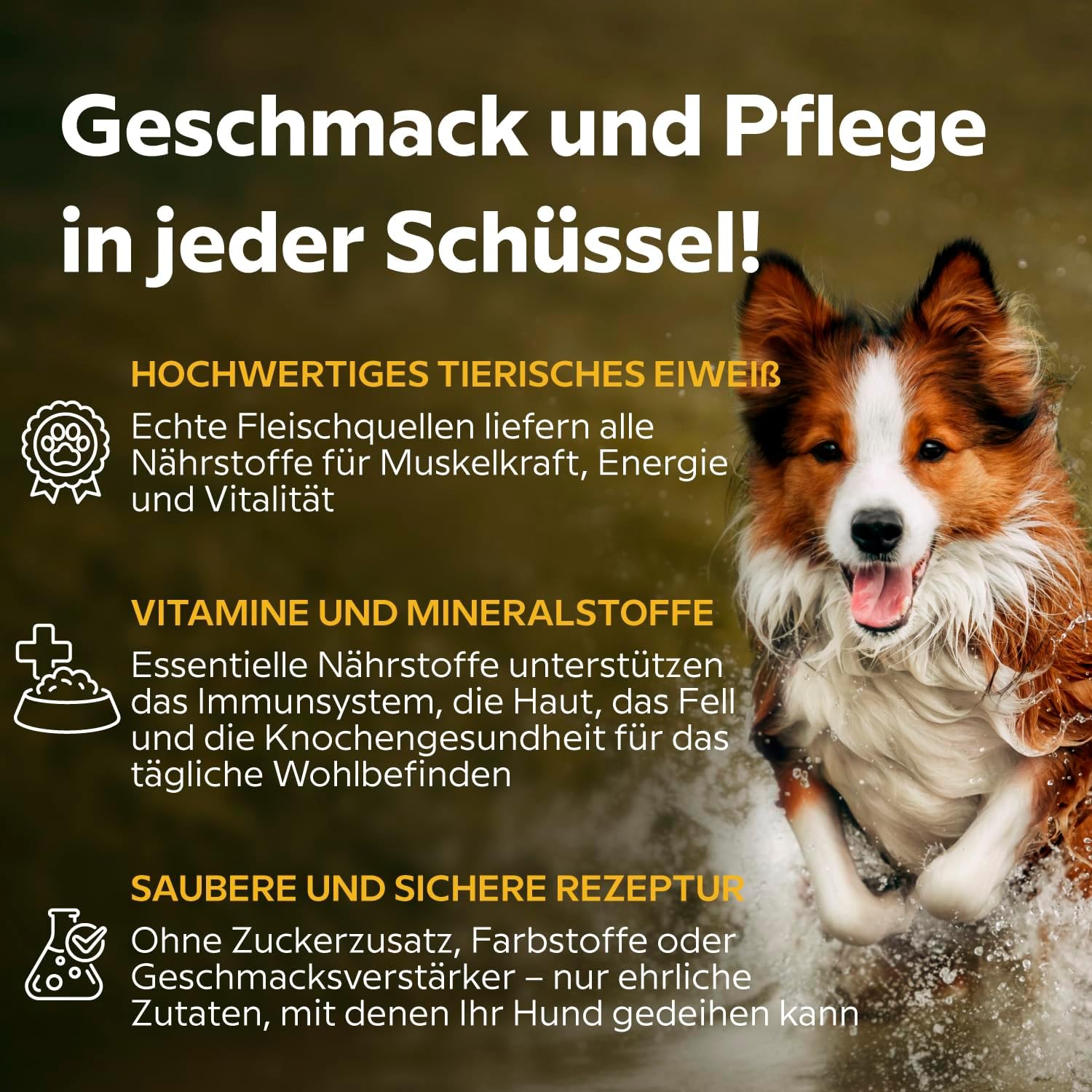 Lovely Hunter Nassfutter Huhn Sauce 12x85g fuer erwachsene Hunde verschiedene Sor