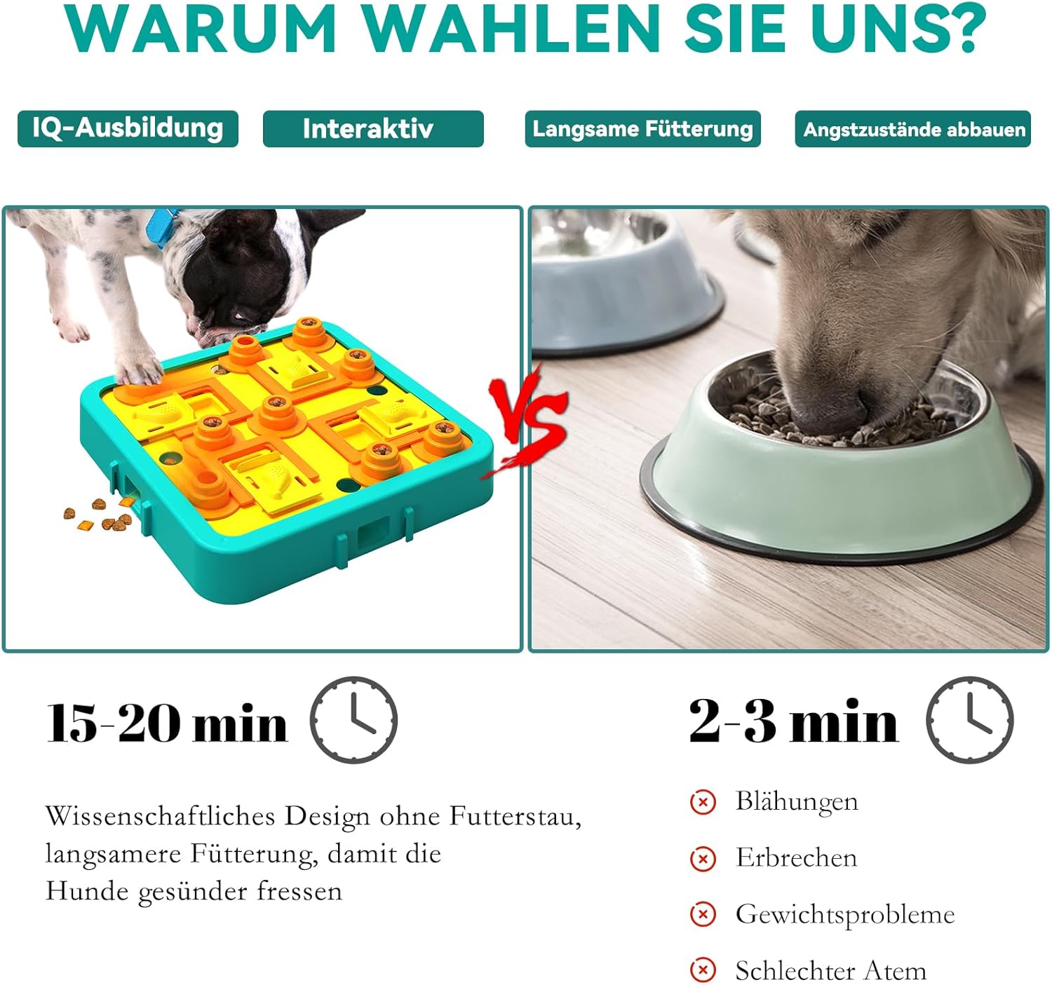 Intelligenzspielzeug fuer Hunde Groesse S‑M‑L Stufe 2 (mittel)