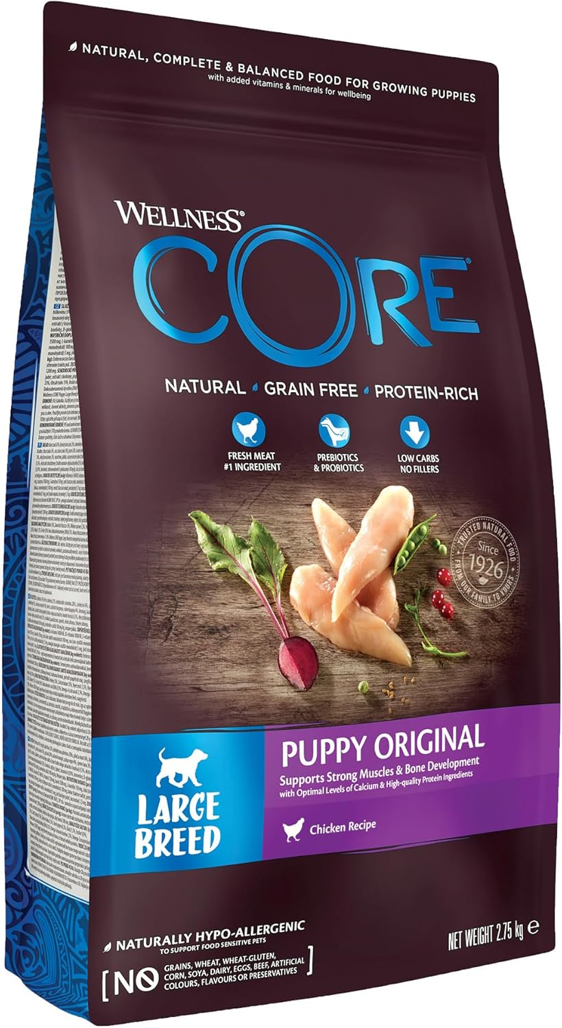 Wellness CORE Hundefutter Nass 6x400g Huhn & Truthahn Pastete