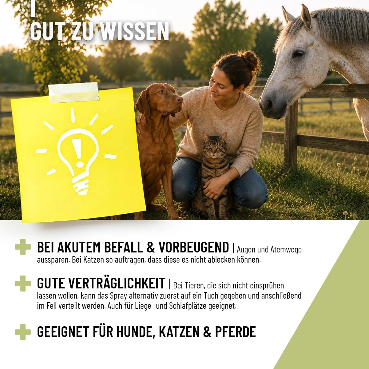 ReaVET Anti Milben-Spray 500 ml für Hunde Katzen Pferde gegen Milben Juckreiz