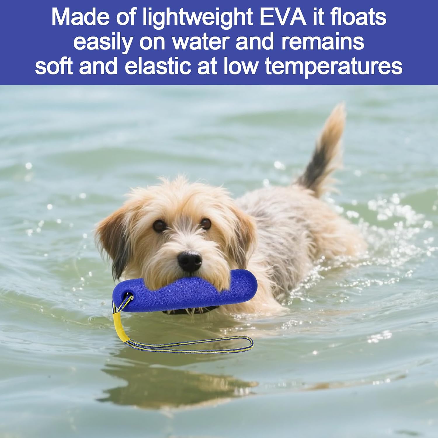 Hundespielzeug 22 cm Schwimmend mit Nylonseil fuer Mittelgrosse bis Grosse Hunde Ap