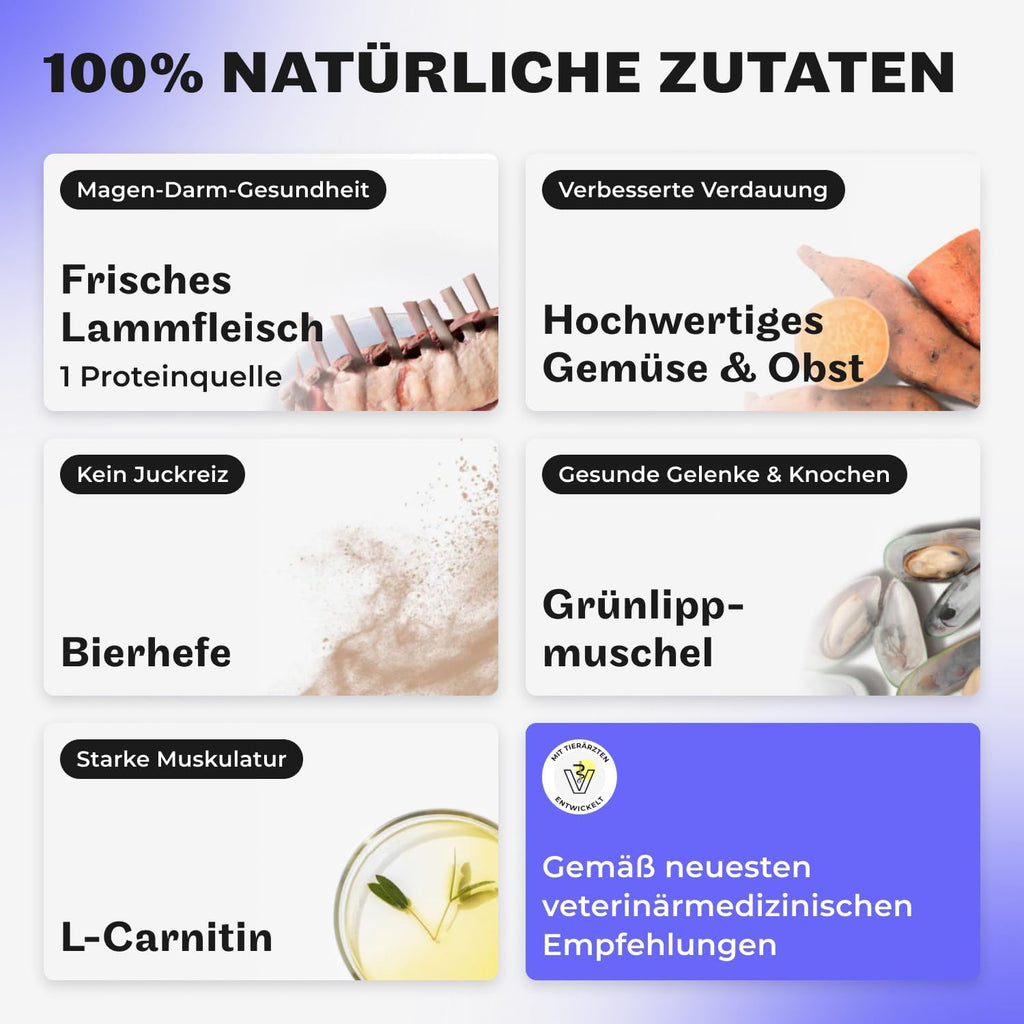 Hey Holy Bulldoggen Trockenfutter getreidefrei hypoallergen mit Lachs