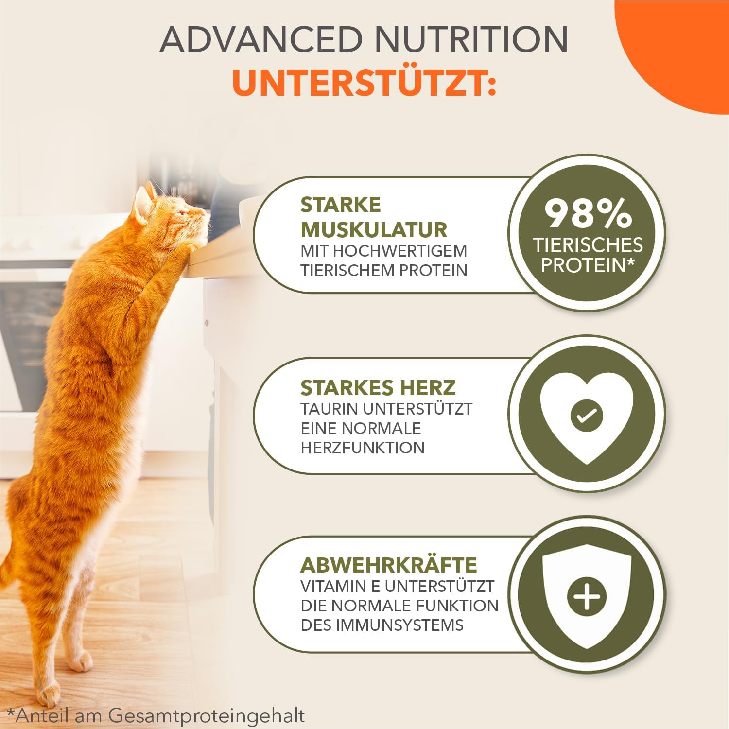 IAMS Delights Land Collection Katzenfutter Nass 12 x 85g getreidefrei ab 1 Jahr