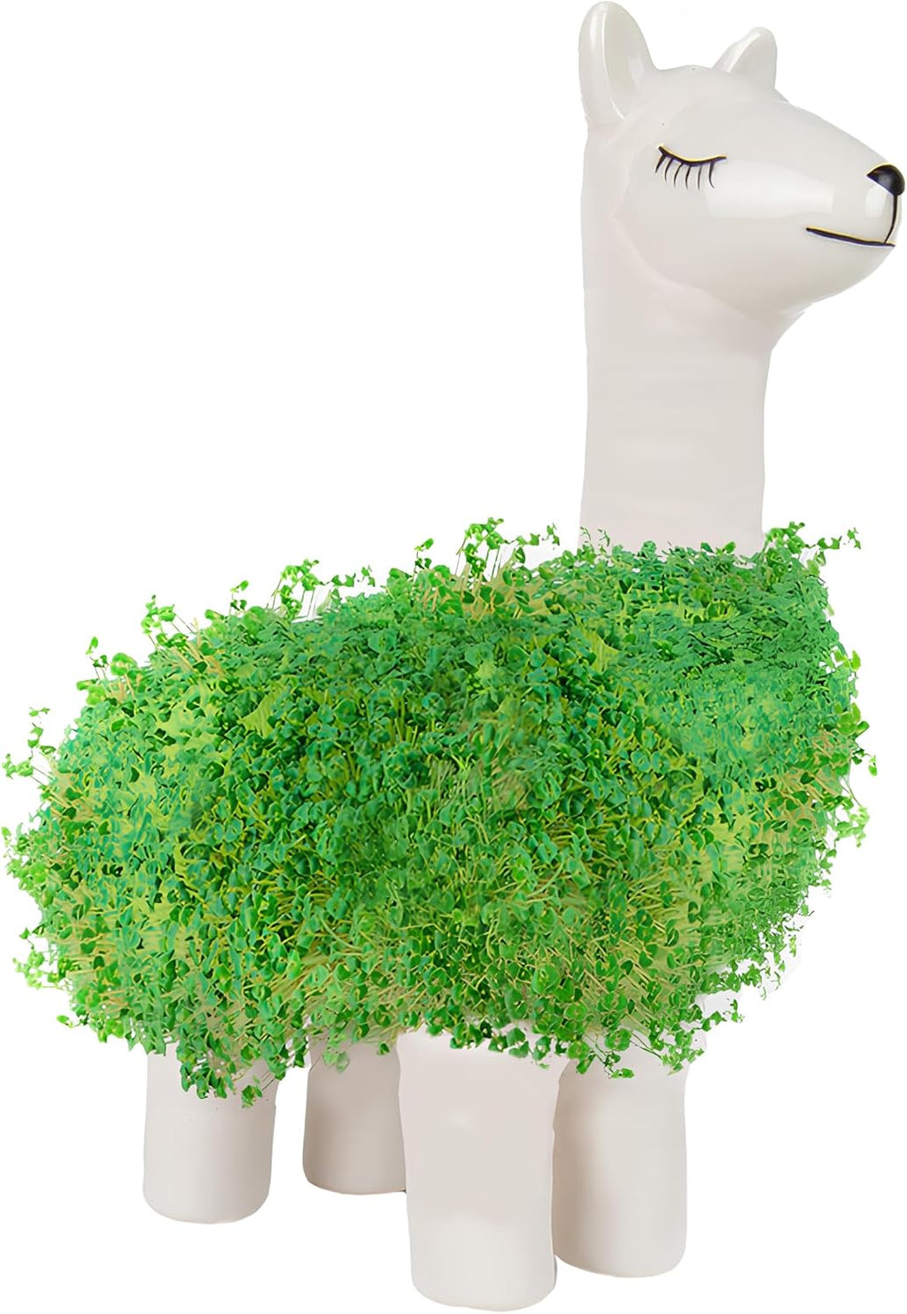 Lama Anzuchtset mit Chia Samen und Keramik Pflanztier - Geschenkset