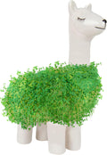 Lama Anzuchtset mit Chia Samen und Keramik Pflanztier - Geschenkset