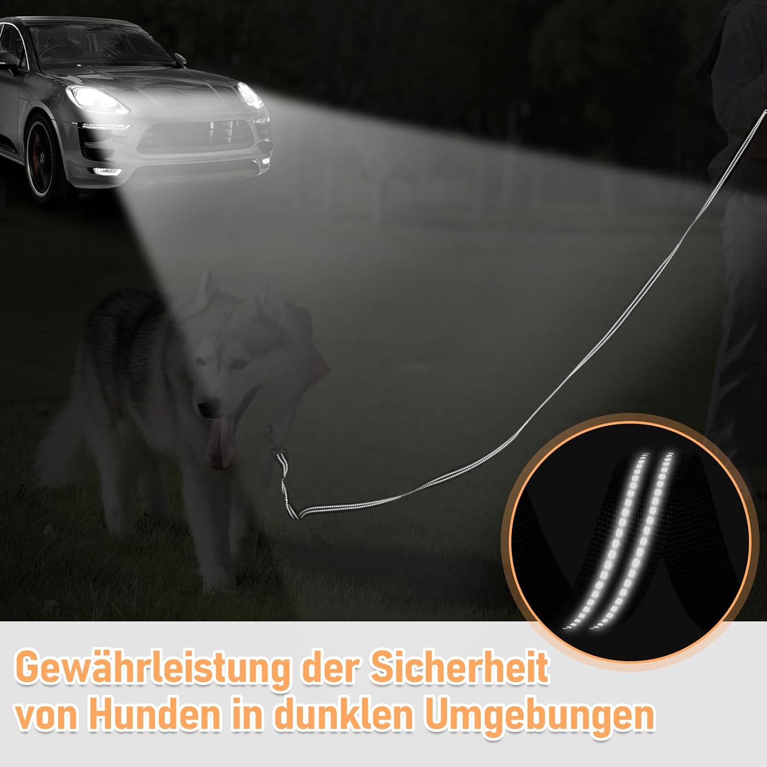 XBEN Schleppleine 3m-50m reflektierend mit Handschlaufe Metallhaken 3m-50m