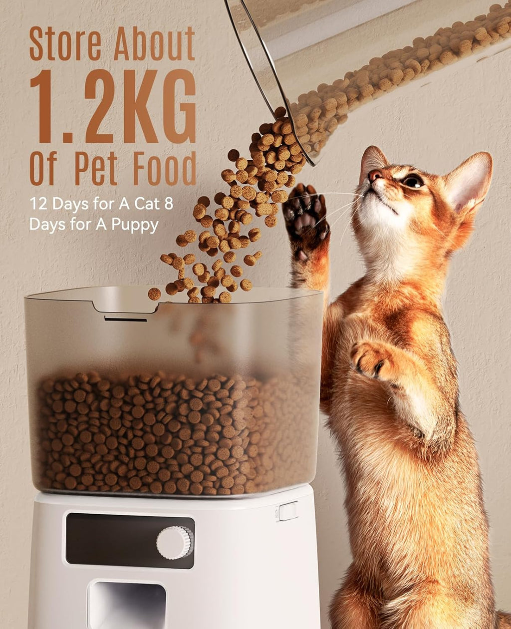 oneisall Futterautomat fuer Katzen 3,5L mit WLAN App und Edelstahlnapf
