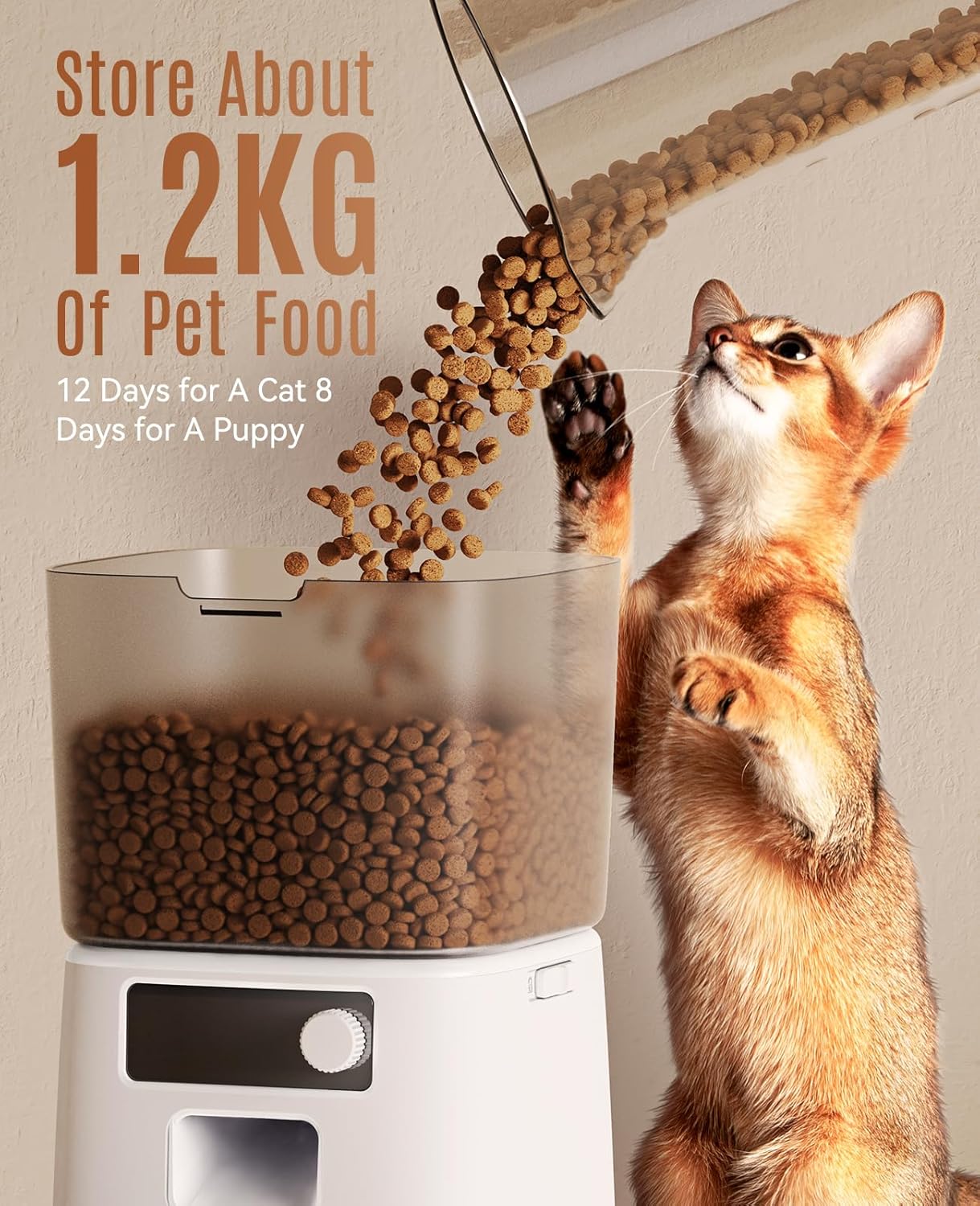 oneisall Futterautomat fuer Katzen 3,5L mit WLAN App und Edelstahlnapf