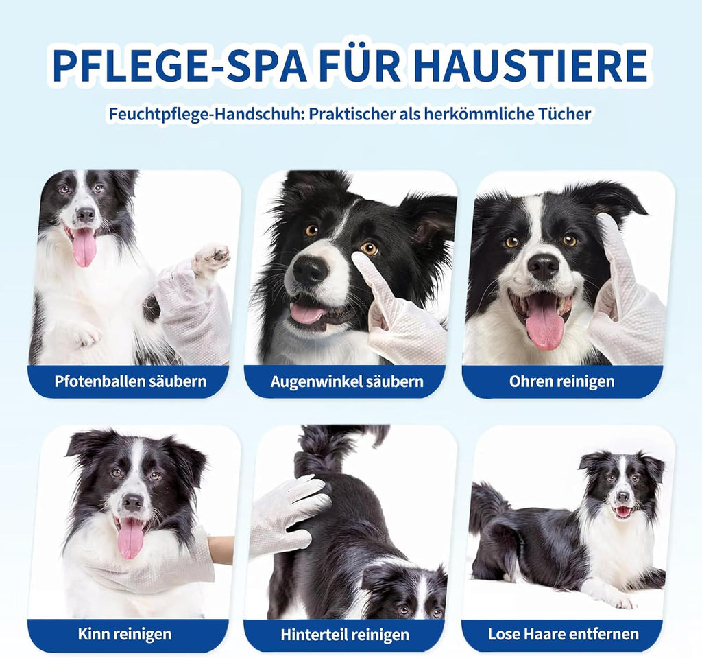 Petclear Fellpflegetuecher Handschuh 10er Pack fuer Hunde und Katzen hypoallergen