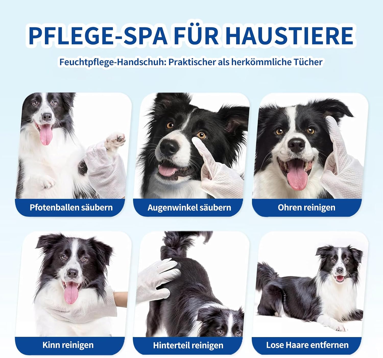Petclear Fellpflegetuecher Handschuh 10er Pack fuer Hunde und Katzen hypoallergen