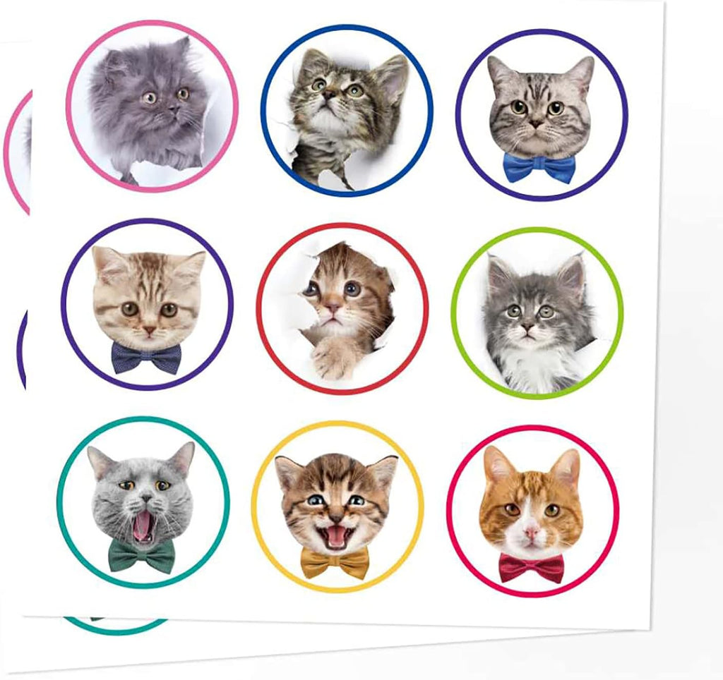 Geschenktueten 12er Set Katzenmotiv Papiertueten Goodie Bags Party Suessigkeiten
