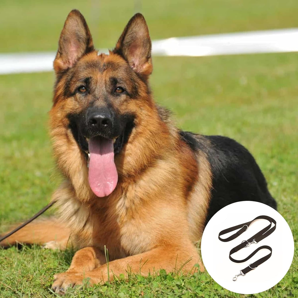 Hundeleine 2,5 cm x 260 cm Schwarz mit Karabinern für große Hunde