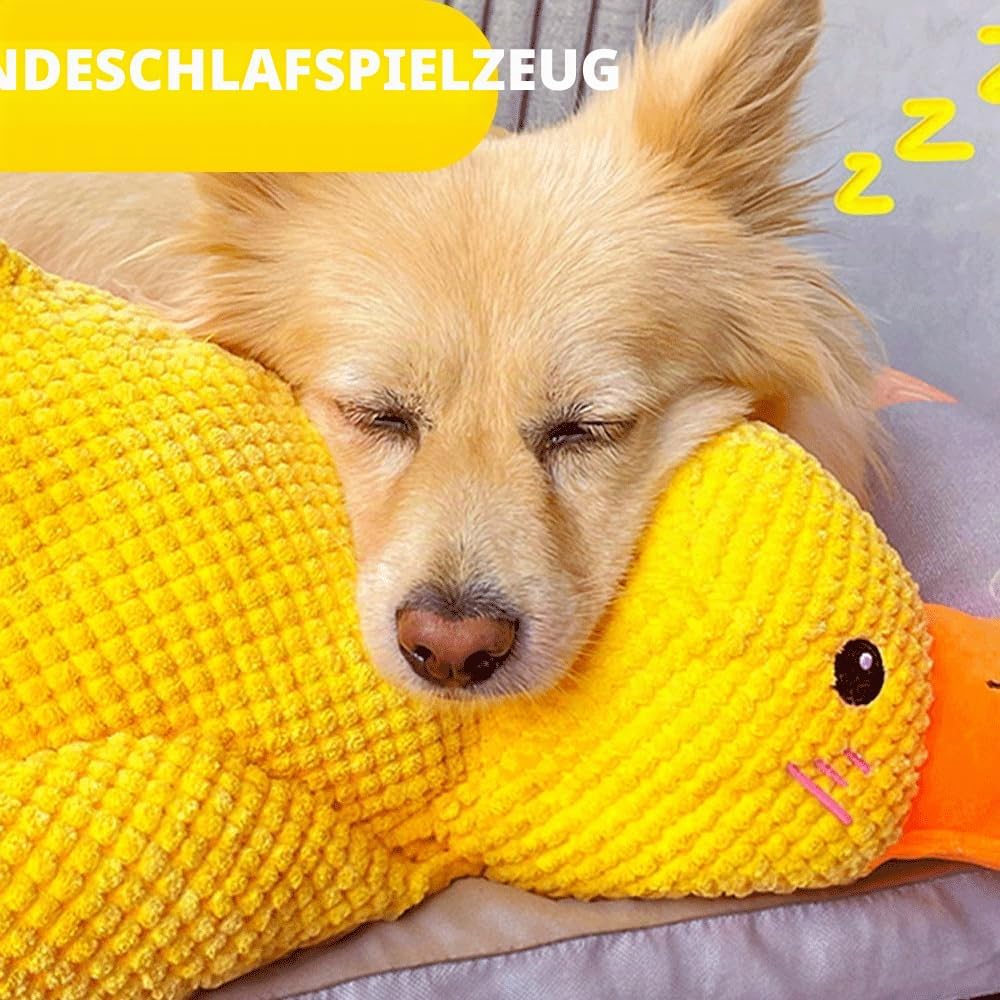 Plüsch Hundespielzeug Quietschente Weich Welpe Groß Mittel Klein 35 cm