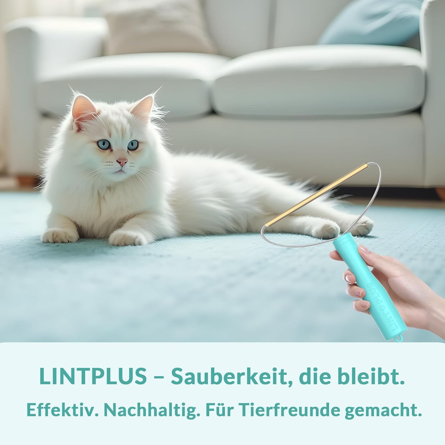 LINTPLUS Tierhaarentferner Buerste fuer Teppiche Polster Kratzbaum Hunde Katzen