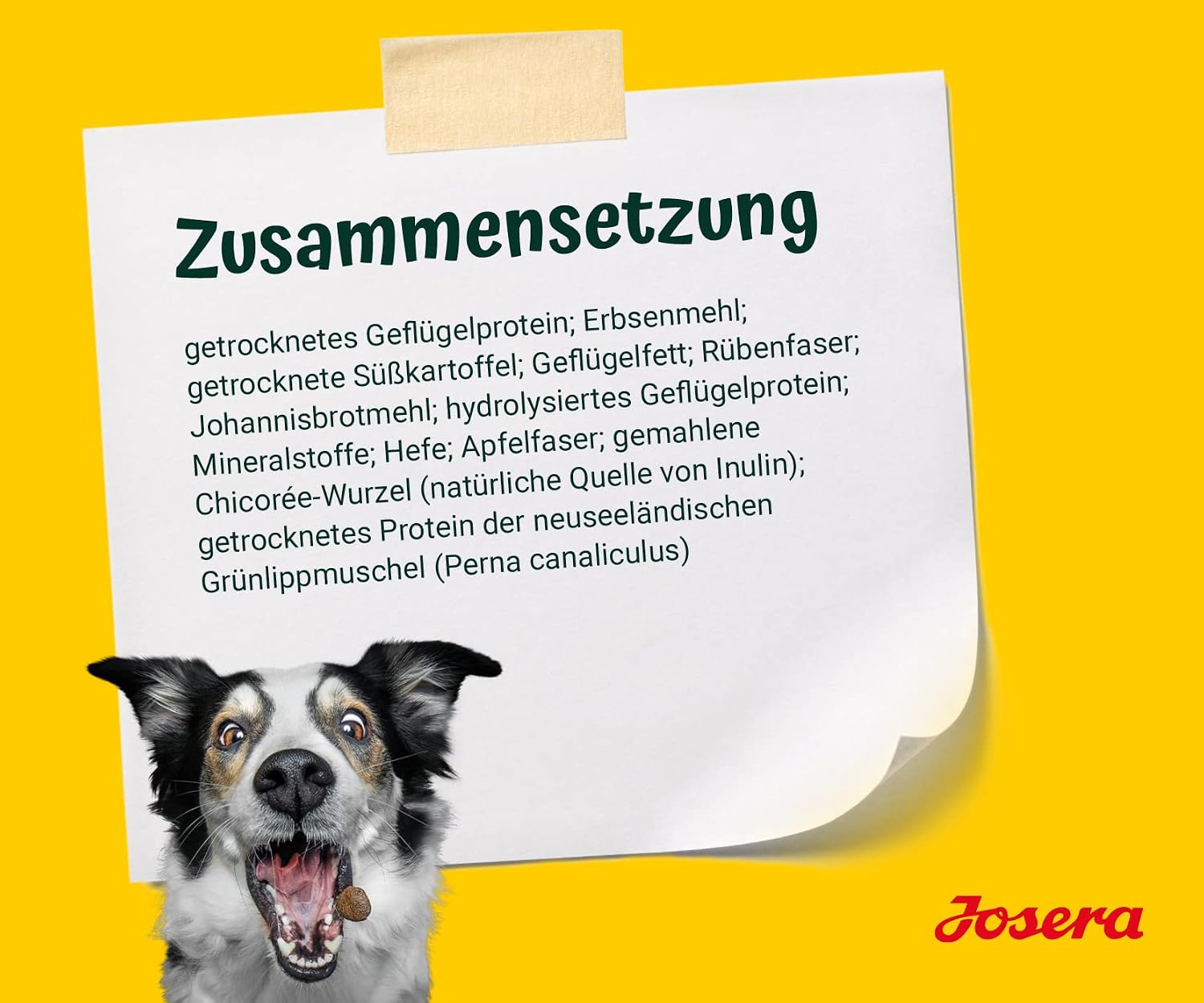 Josera Adult Huhn & Suesskartoffel Trockenfutter fuer Hunde