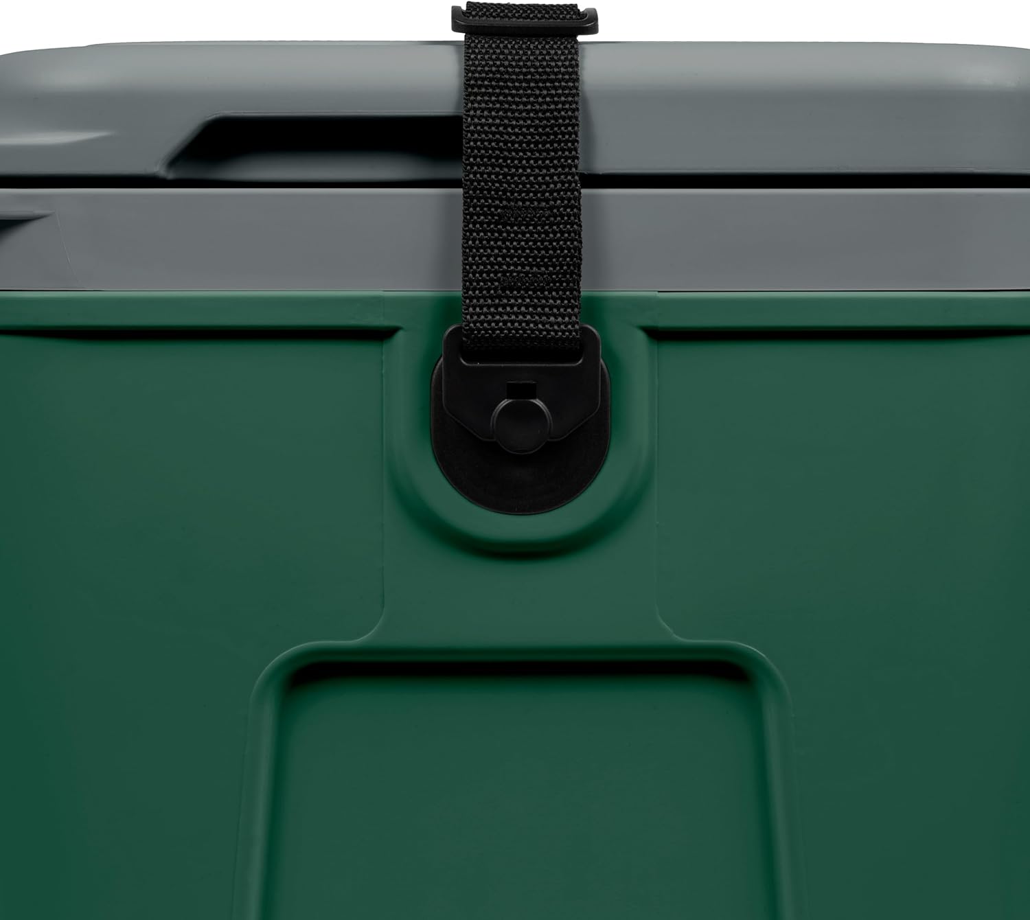 Steamy BMX Kuehlbox 21 L mit Trennwand und Einlegeschale, gruen
