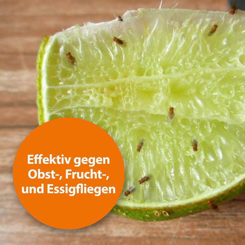 ARDAP Repell Ameisenpulver zum Streuen aussen mit Sofort- und Nestwirkung (