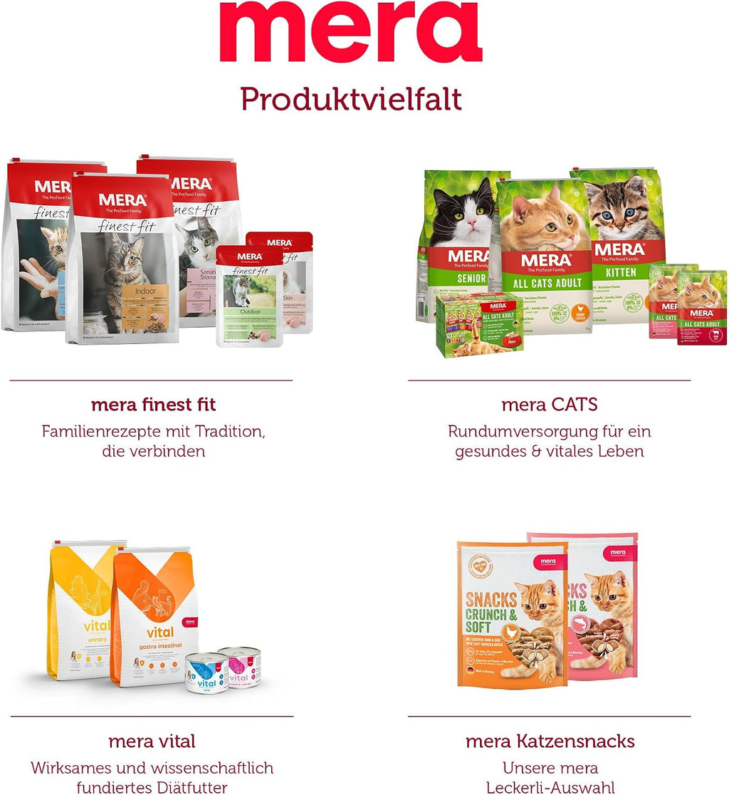 Katzenleckerlis Crunch & Soft mit Lachs Katzensnack
