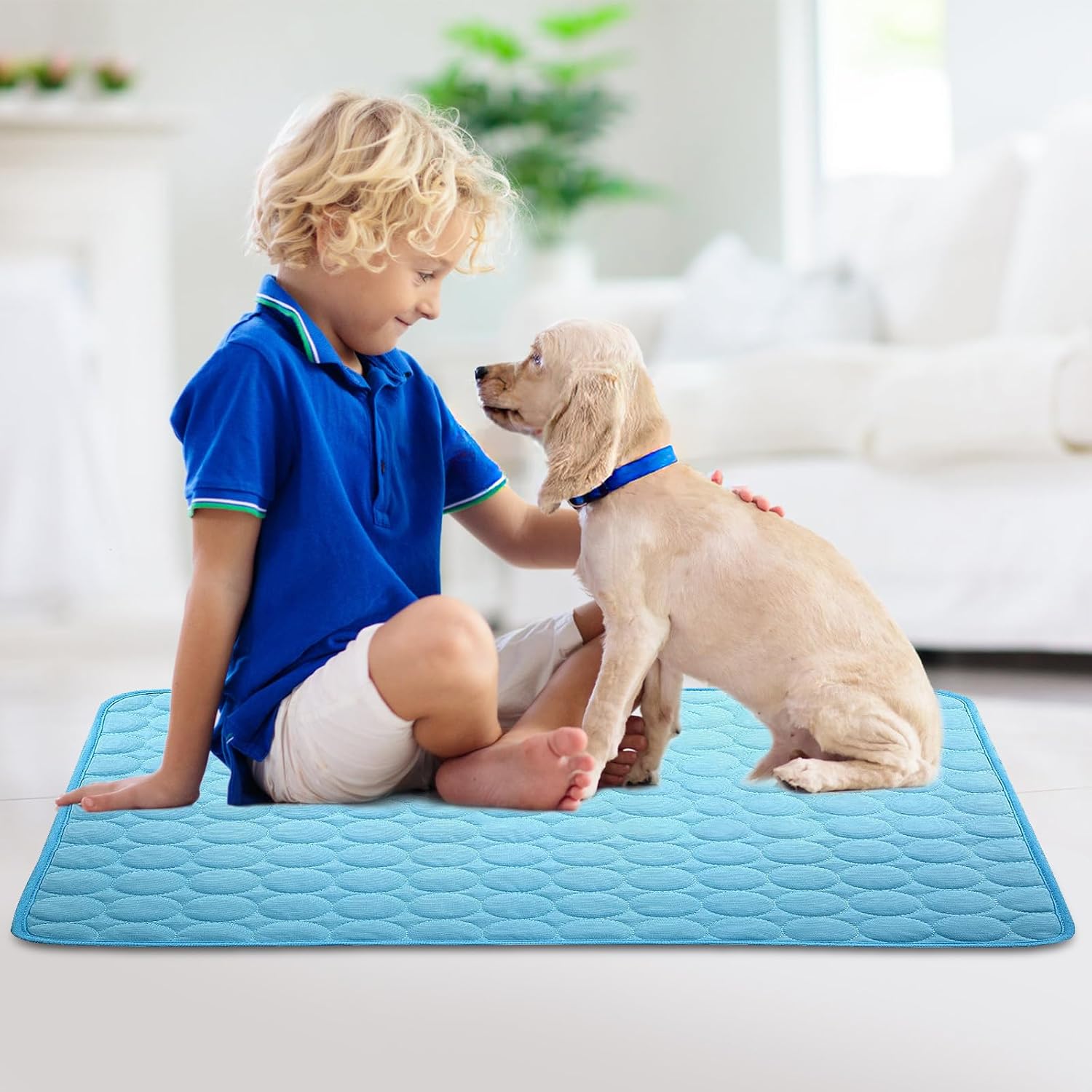 Kuehlmatte fuer Hunde und Katzen - Matte kuehlend fuer Innen, Aussen, Transport