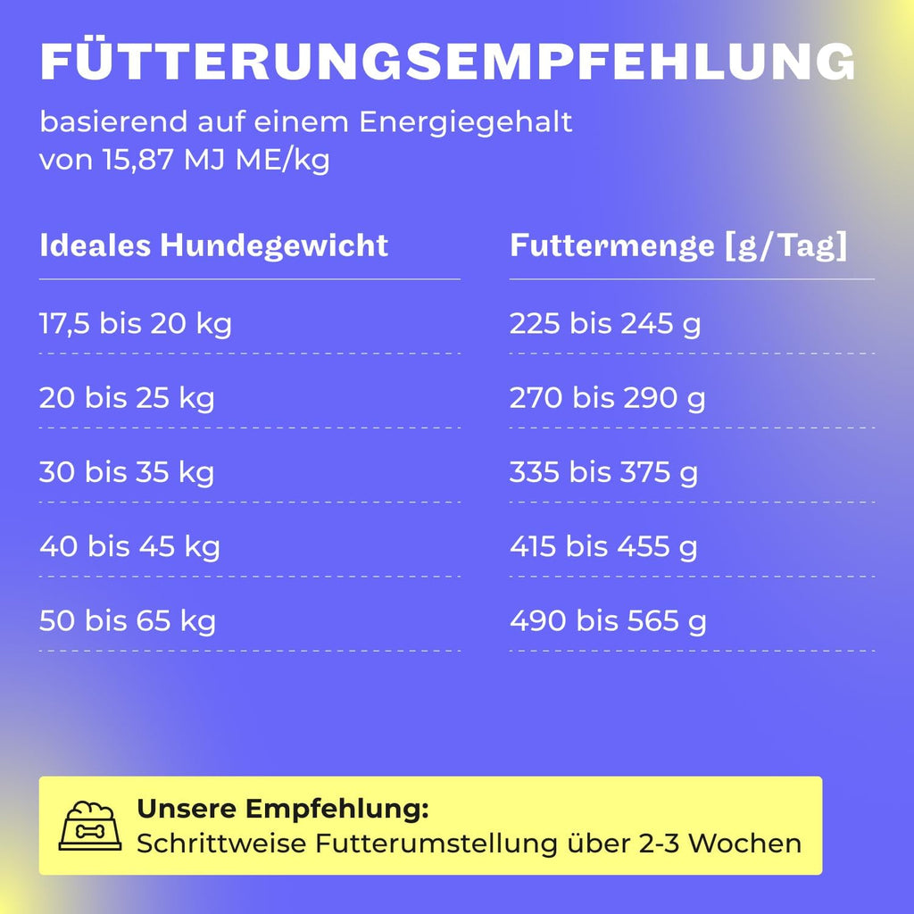 Hey Holy Bulldoggen Trockenfutter getreidefrei hypoallergen mit Lachs