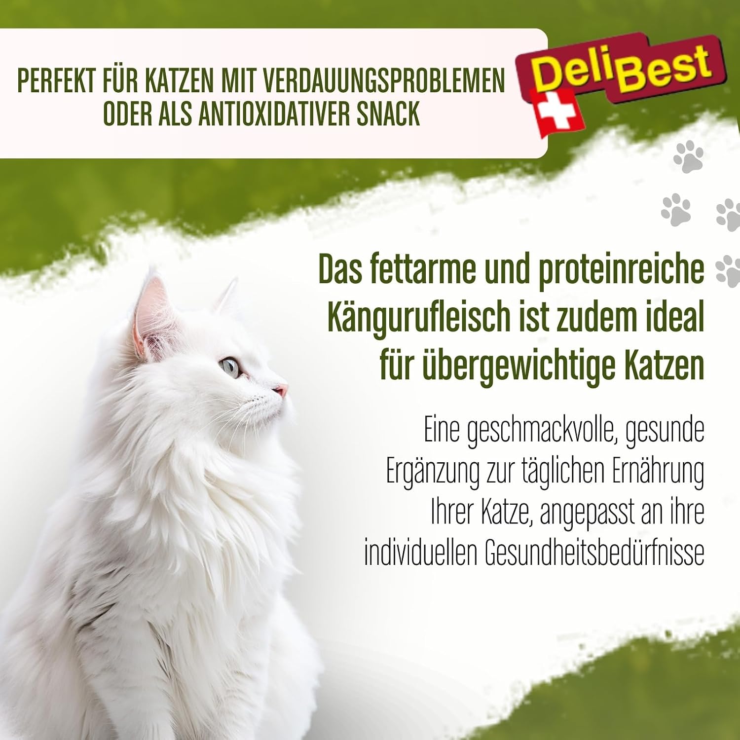 Katzen Snack Kaenguru getreidefrei mit Kurkuma Verdauungsfoerdernd