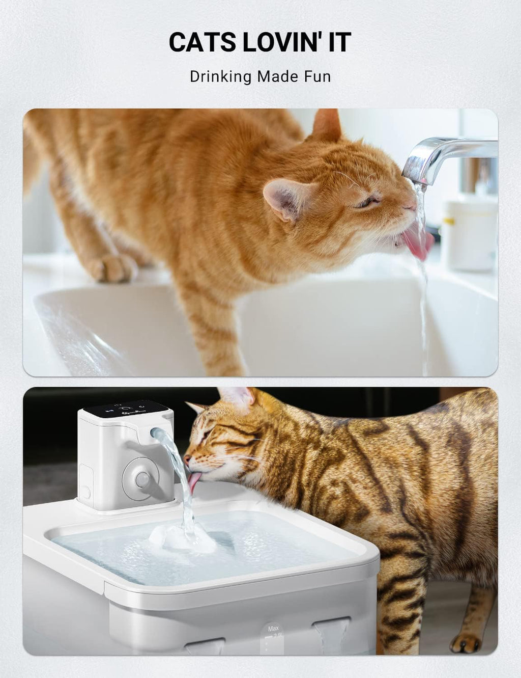 DownyPaws Katzen Trinkbrunnen kabellos 4000mAh Bewegungsmelder Edelstahl sc