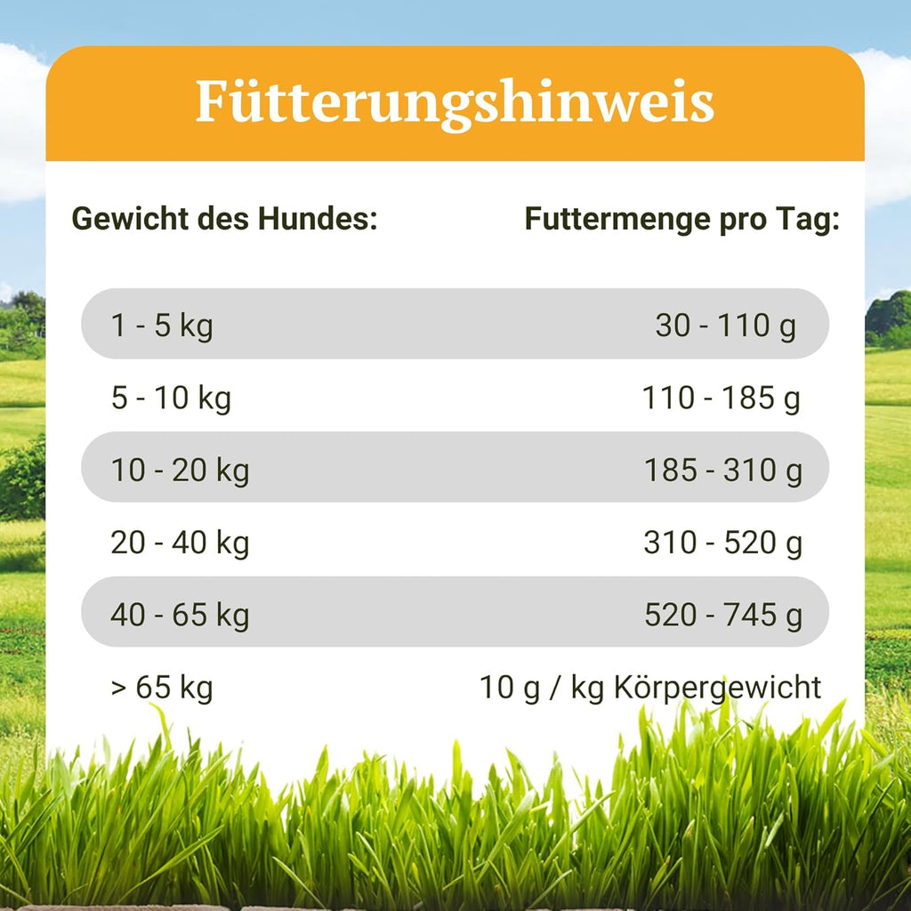 Bellfor Naturfarm Schmaus Hundefutter Insekten getreidefrei