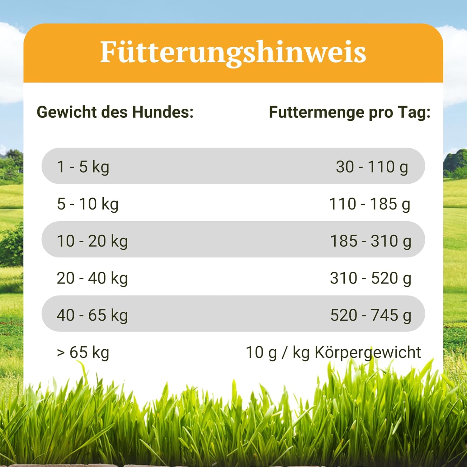 Bellfor Naturfarm Schmaus Hundefutter Insekten getreidefrei