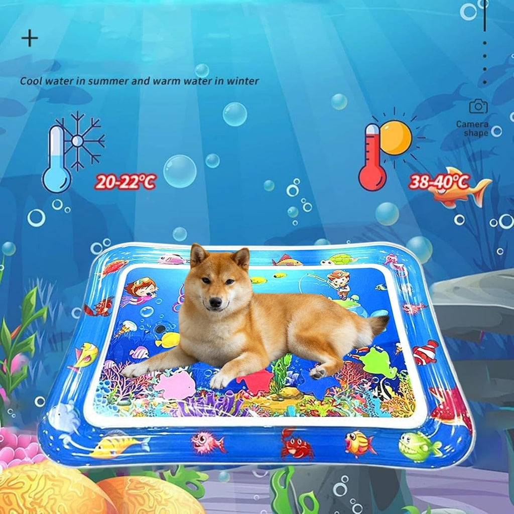 Wassermatte fuer Katzen 66x47 cm aufblasbar sensorisch interaktiv Kissen