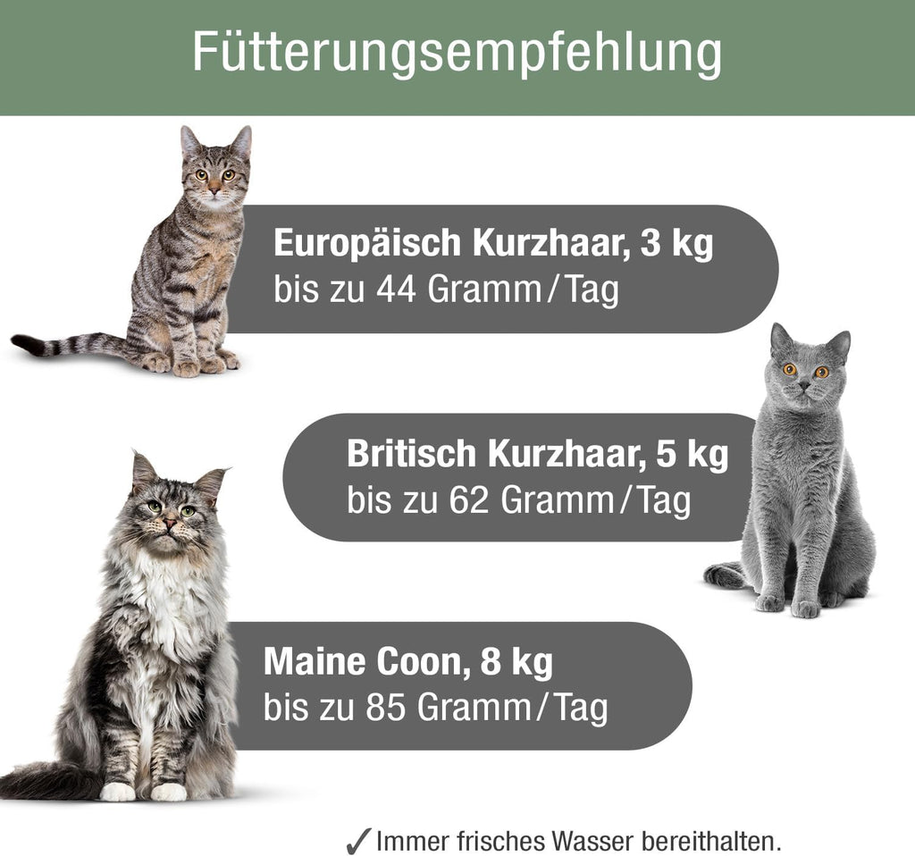 Katzen Trockenfutter Sterilisiert 82% Fisch 1,5kg MeatCrisp PLATINUM