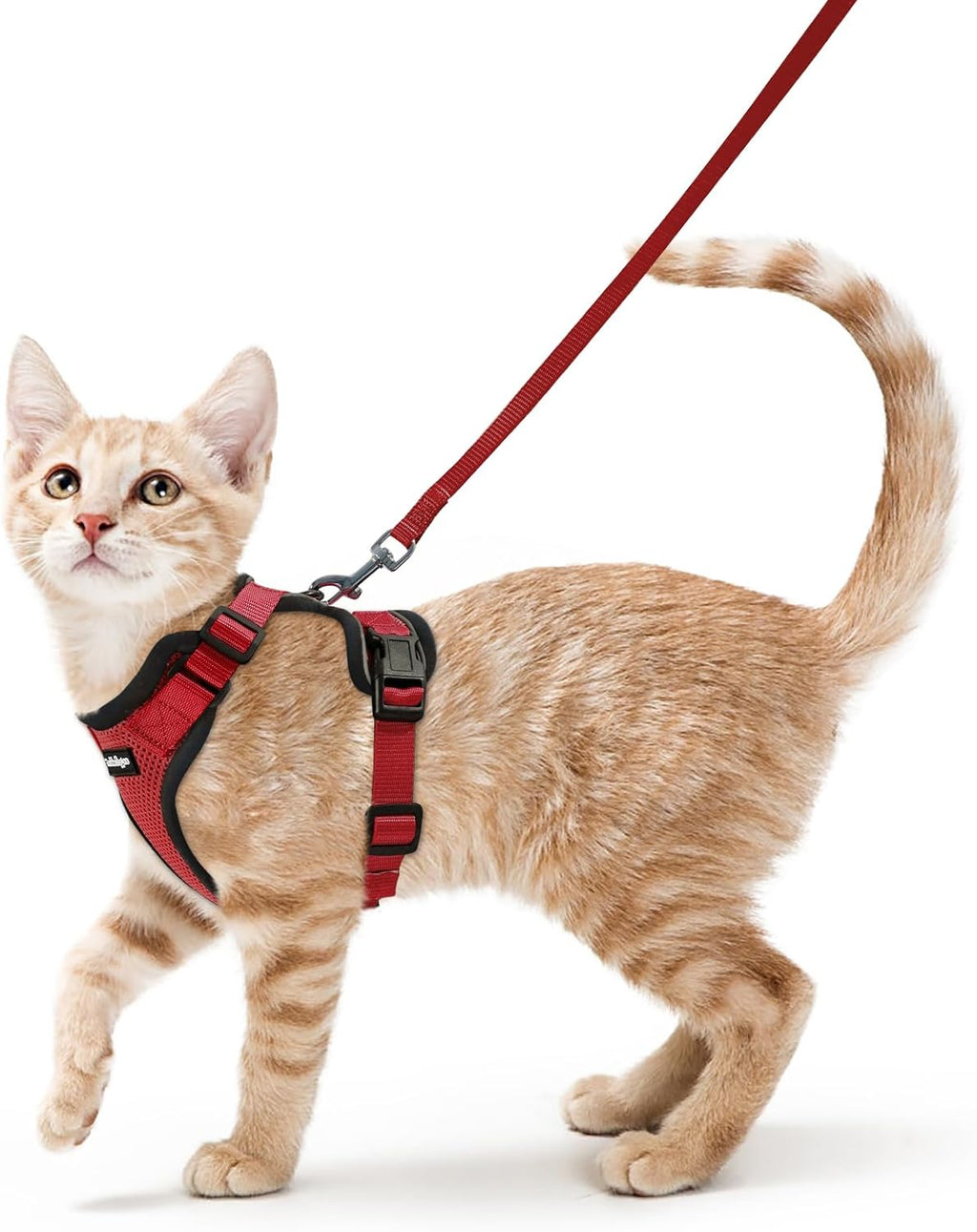rabbitgoo Katzen Geschirr mit Leine verstellbar reflektierend weich XS Schwarz