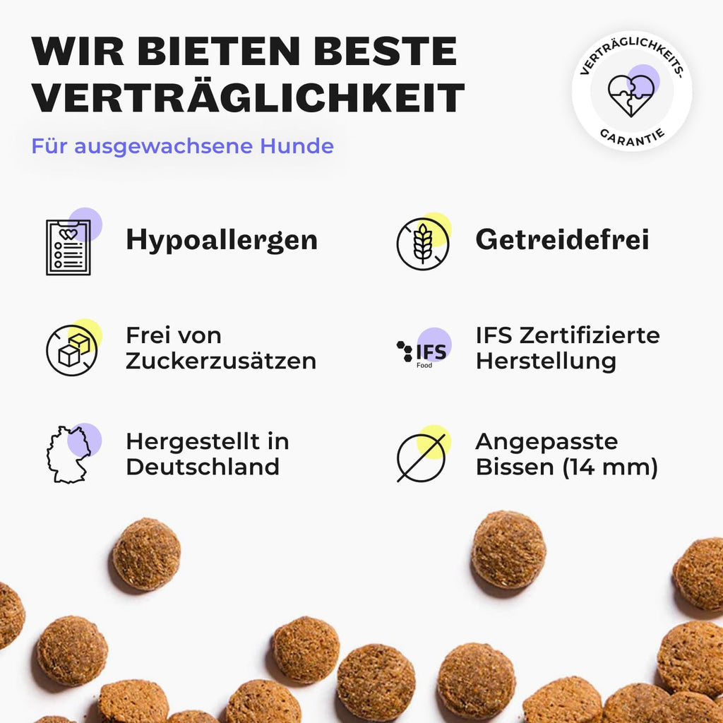 Hey Holy Bulldoggen Trockenfutter getreidefrei hypoallergen mit Lachs