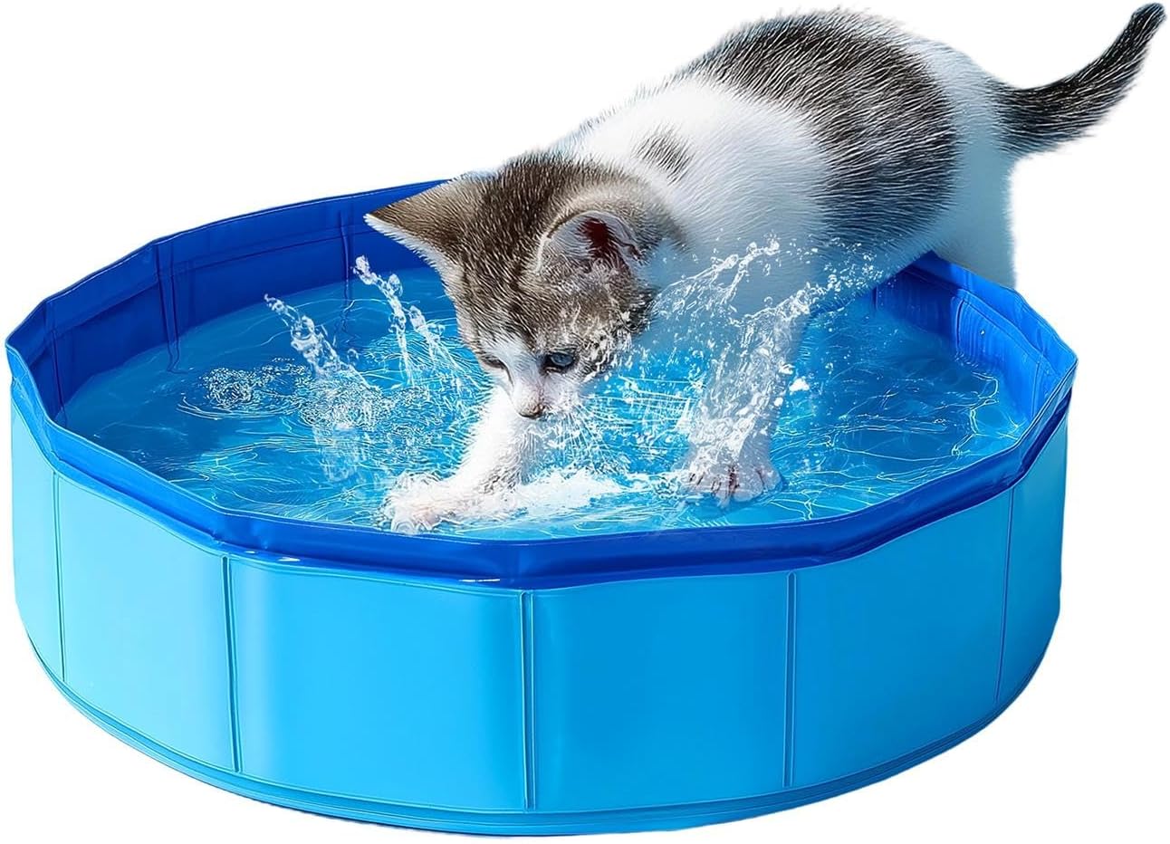 Faltbarer Katzenpool klein 30×10 cm blau Mini Planschbecken fuer Katzen
