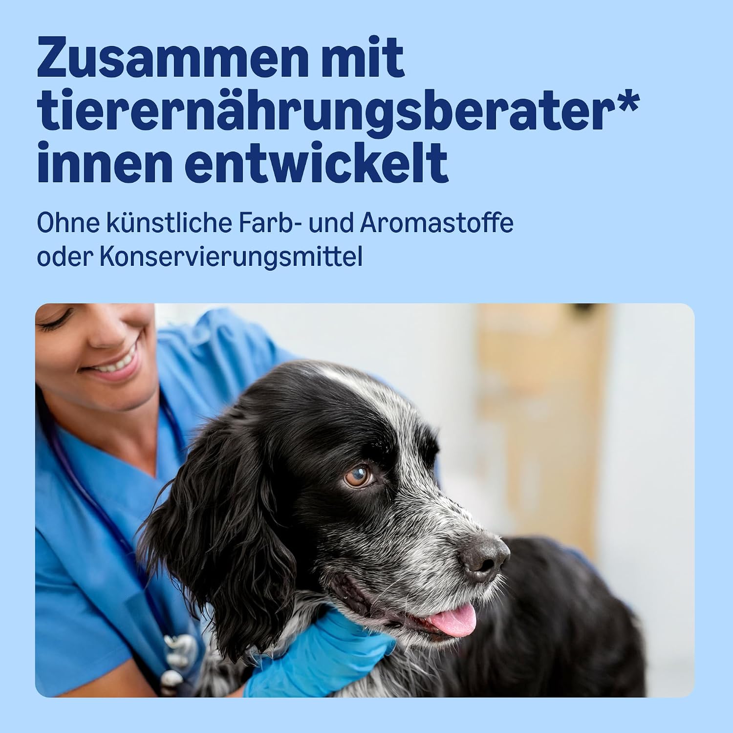 Hundenassfutter Pastete 10er bis 40er Pack verschiedene Sorten