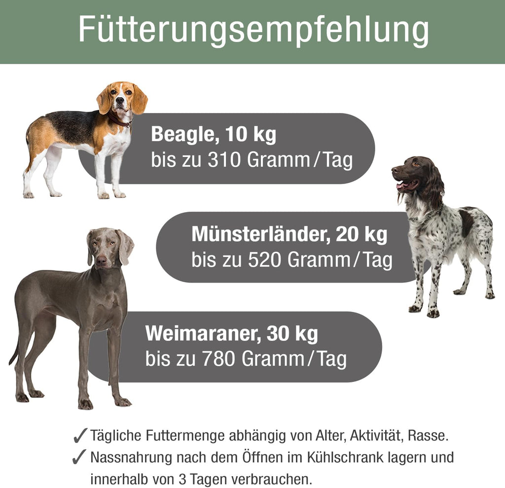 PLATINUM Hundenassfutter Menu Adult Fish 12x375g saftig naehrstoffreich