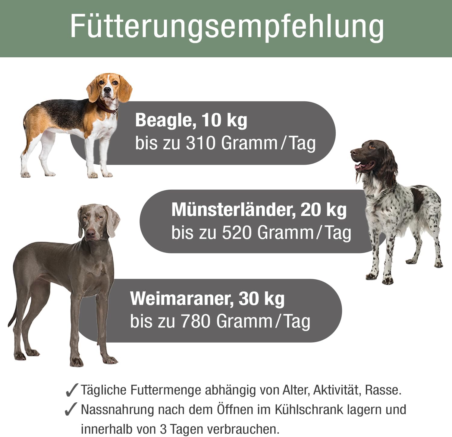 PLATINUM Hundenassfutter Menu Adult Fish 12x375g saftig naehrstoffreich