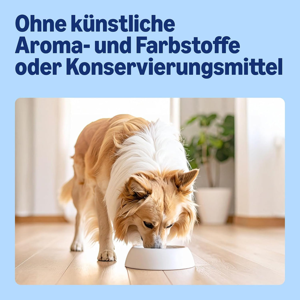 Hundetrockenfutter Lamm & Reis 5 kg Vollwertig