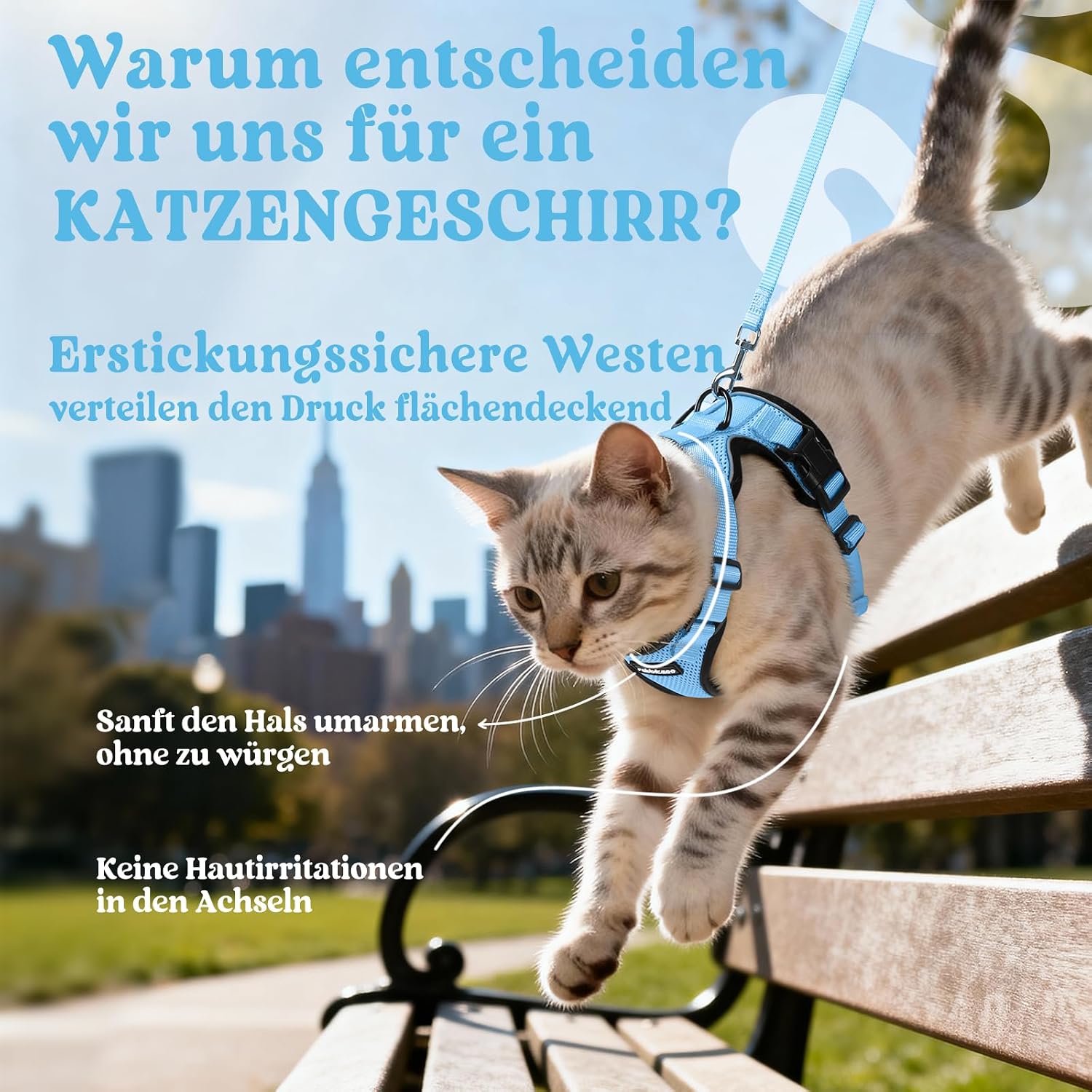rabbitgoo Katzenweste Geschirr ausbruchsicher verstellbar XS Hellblau mit Leine
