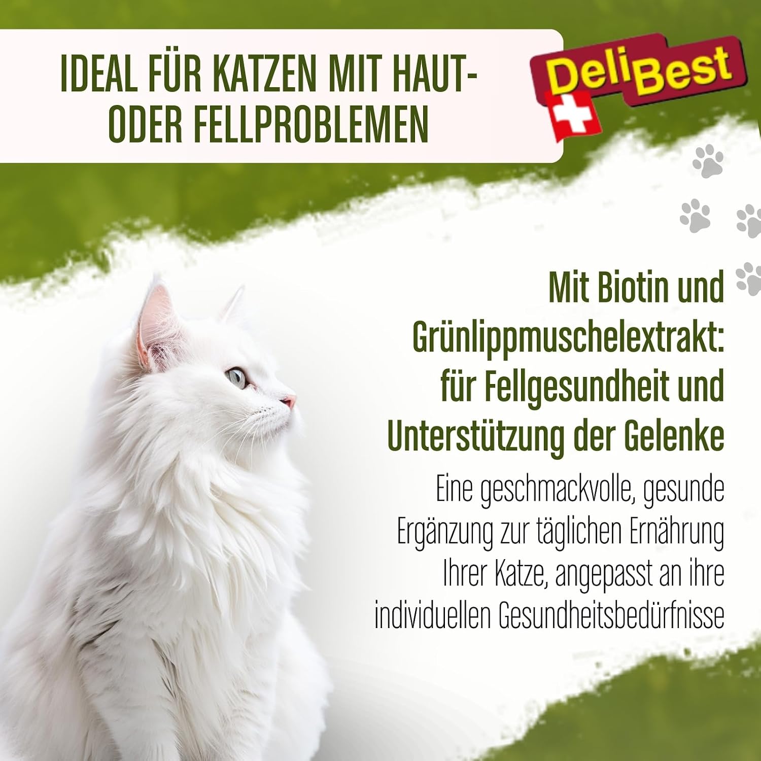 Katzen Snack Kaenguru getreidefrei mit Kurkuma Verdauungsfoerdernd