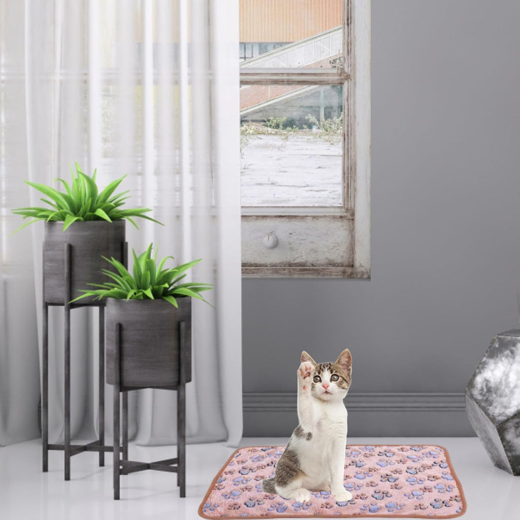 Katzendecke Flauschig Waschbar Haustierdecke 40x60 cm 3er Set