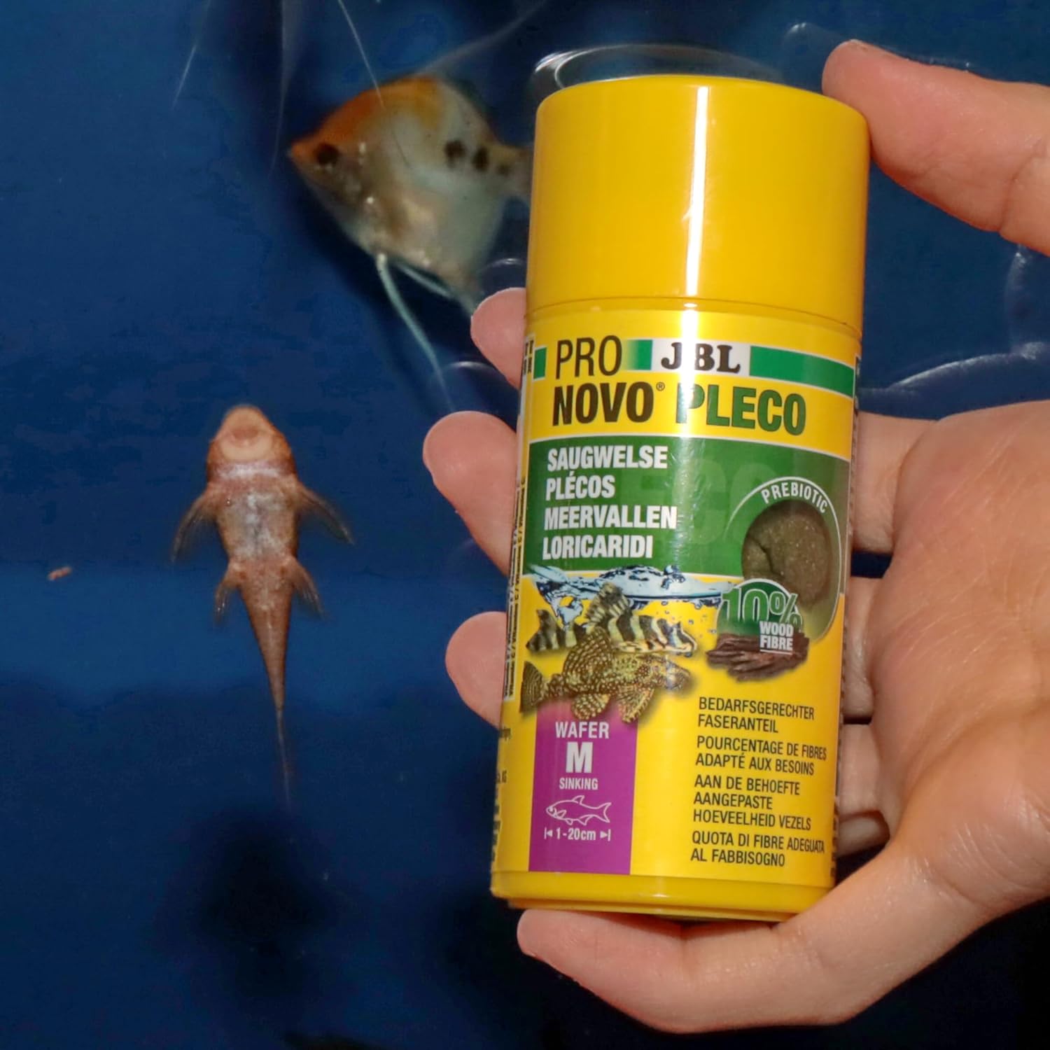 JBL ProNovo Pleco WAFER Futterwafer fuer Saugwelse 1-20 cm Groesse M 100 ml