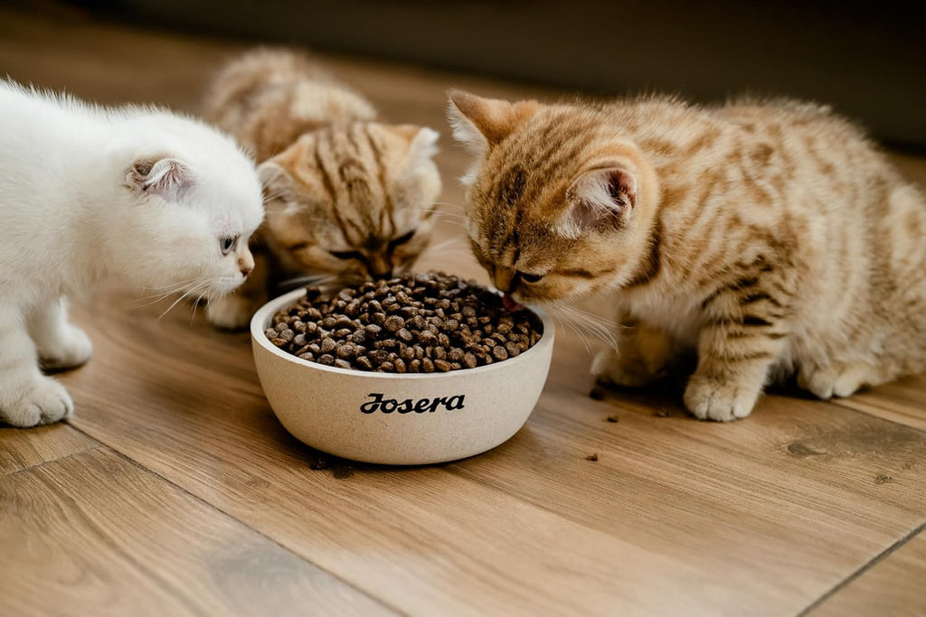 Katzenfutter SensiCat verschiedene Sorten Gefluegel Geschmacklos weizen